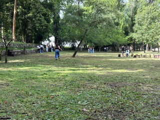 1777025012591 resize